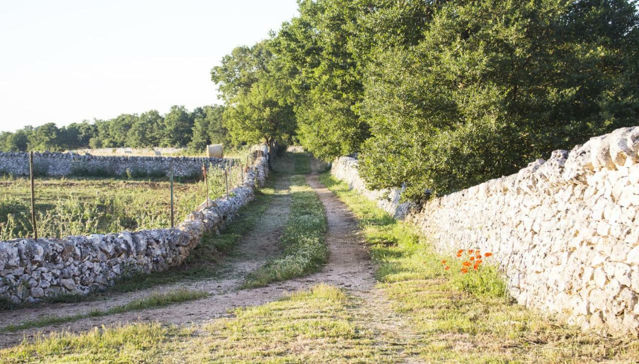 Trulli Sul Vignale In Masseria Santalachicca Μαρτίνα Φράνκα Εξωτερικό φωτογραφία